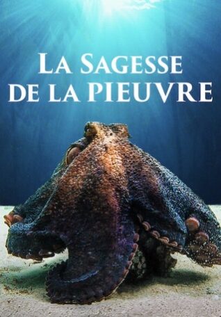 la sagesse de la pieuvre
