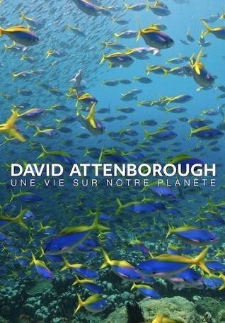 une-vie-sur-notre-planete